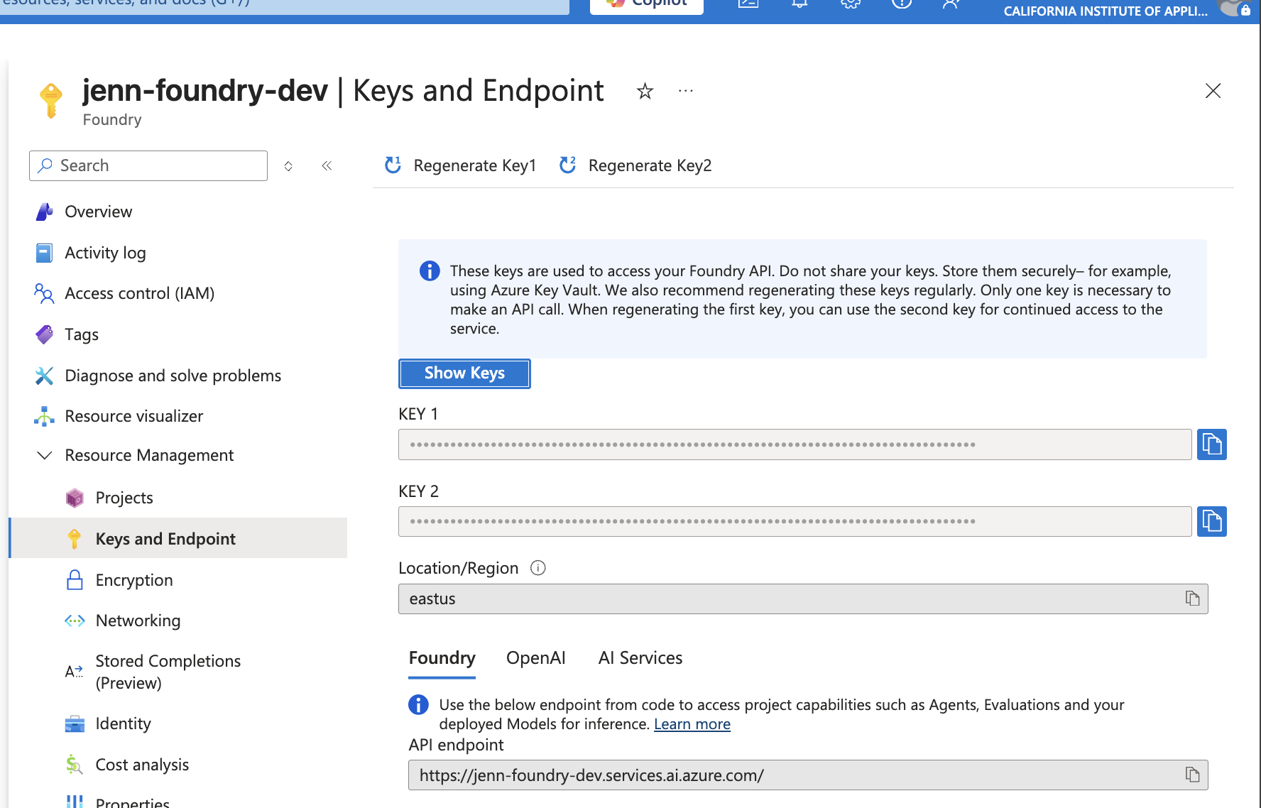 jenn-foundry-dev Keys and Endpoint — API access configuration